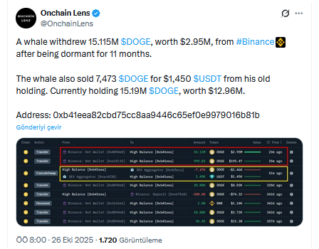 11 Ay Sonra Uyanan Dogecoin Balinasından Binance Hamlesi
