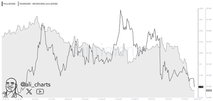 Balinalar Milyarlık Satış Yaptı, Dogecoin Yine de Yükselişe Döndü: Gözler Bu Fiyatta