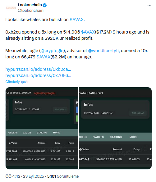 Balinalar Popüler Altcoin’de Bullish Moduna Geçti: Milyon Dolarlık Pozisyonlar