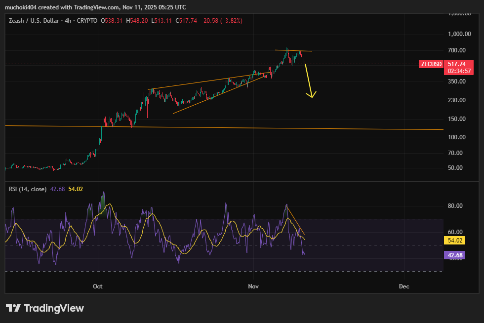 Binance Balinaları Gizlilik Odaklı Altcoin’e Yüklendi: Alımların Ardından Fiyatta Çöküş Riski Kapıda