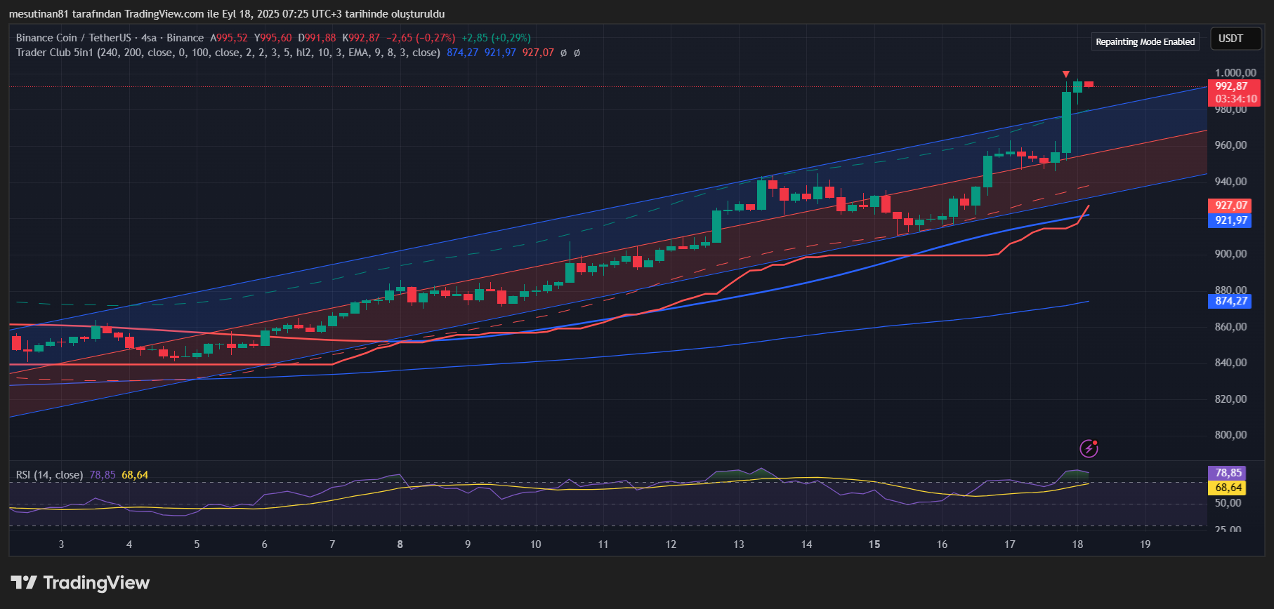 Binance Coin (BNB), 1.000 Dolar Eşiğine Dayandı: Analiz ve Tahminler