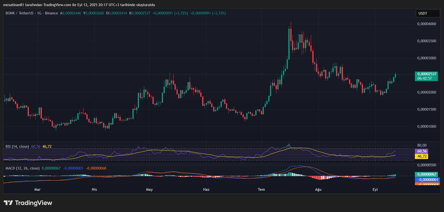 BONK Coin Yükselişte: Teknik Göstergeler Boğa Piyasasını Müjdeliyor mu?