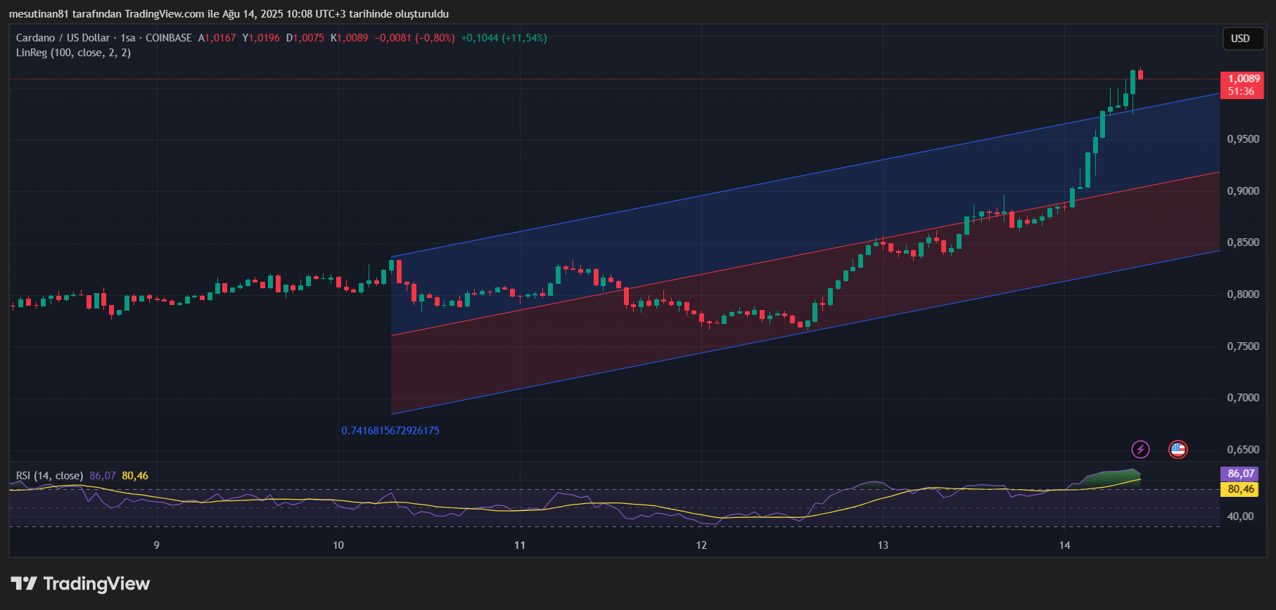 Cardano (ADA) 1 Doları Geçti: Yeni Hedefler ve Piyasa Analizi