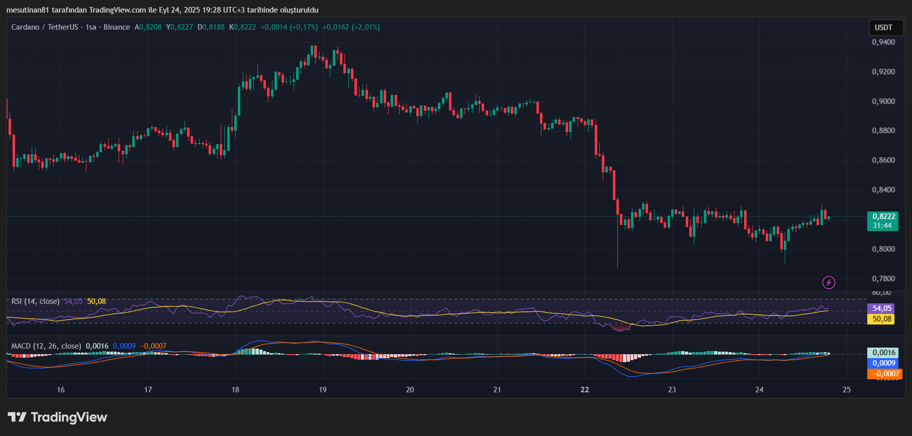 Cardano (ADA) Fiyatı 1 Dolar Direncinde Takılıyor: Yatırımcılar Endişeli mi Olmalı?