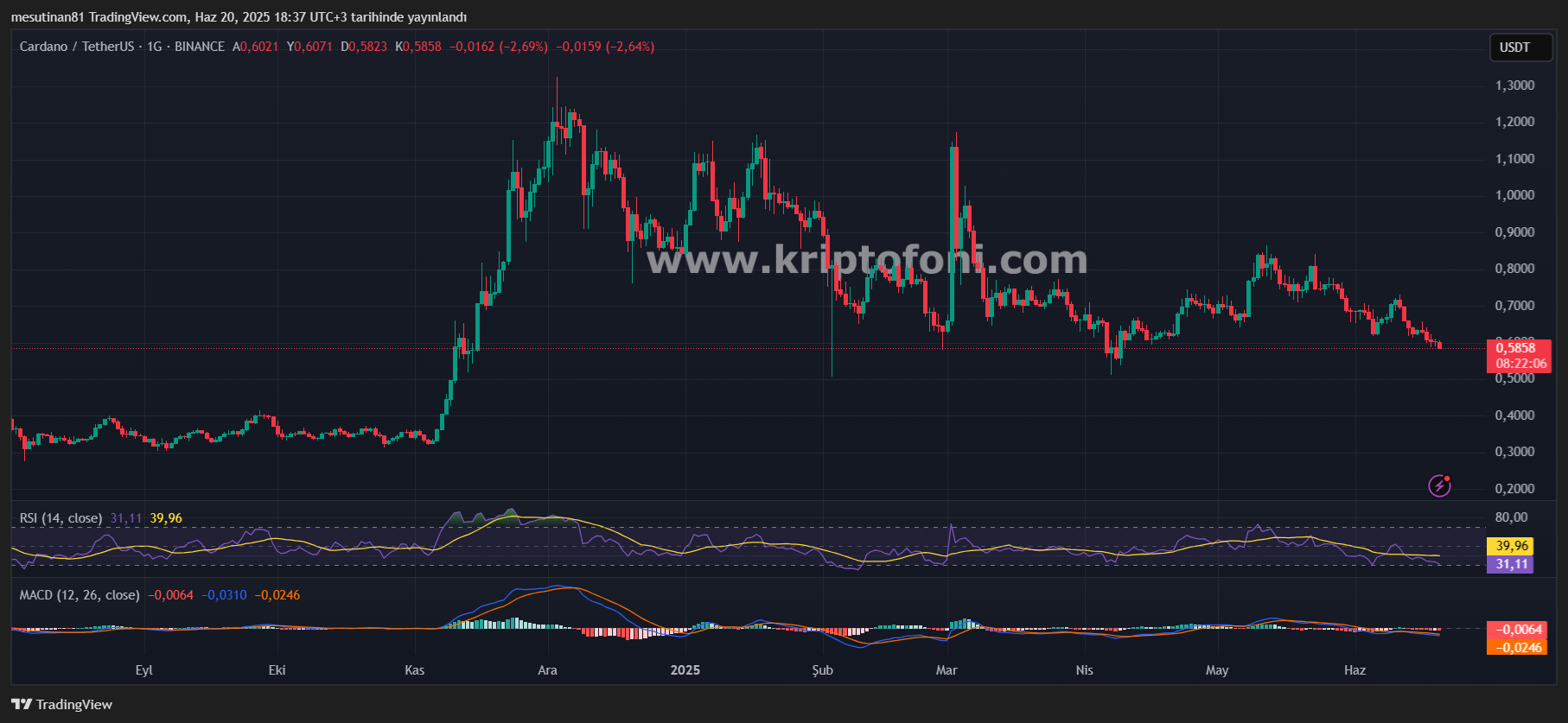 Cardano (ADA) Fiyatında Düşüş Riskine Karşı Charles Hoskinson'dan Chainlink Eleştirisi