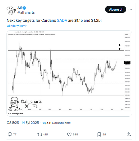 Cardano (ADA) İçin 1,15 Dolar Hedefi ve İki Muhtemel Senaryo