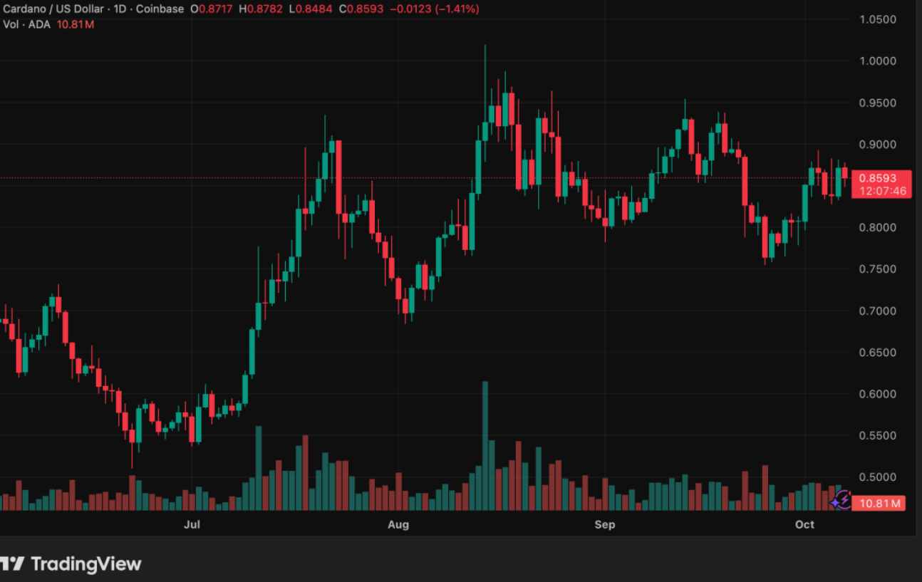 Cardano (ADA) İçin Yükseliş Vakti: RSI ve Boğalar Ne Sinyal Veriyor?