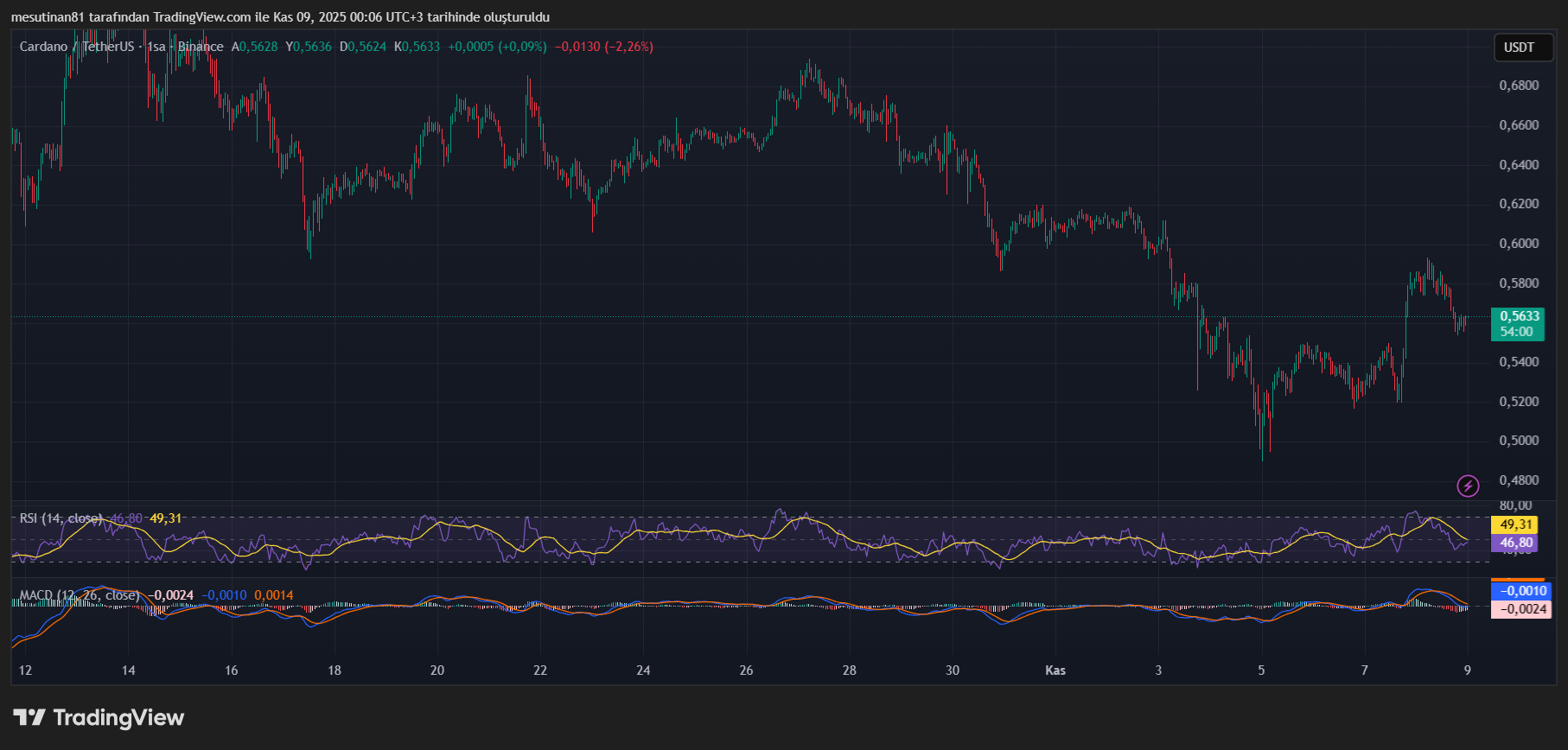 Cardano’da 1 Dolar Gündeme Gelirken Bireysel Yatırımcılarda Akın Başladı