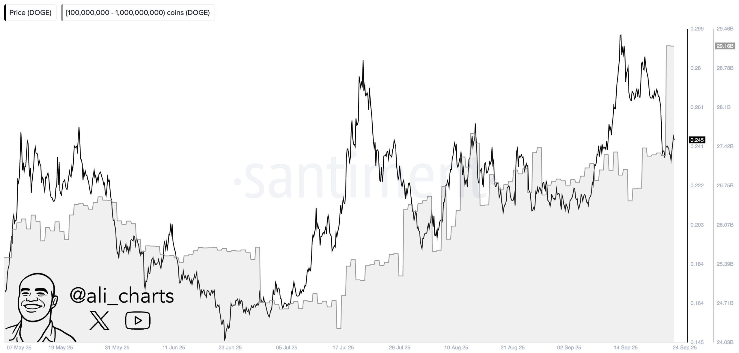 Dogecoin Balinaları 48 Saatte 480 Milyon Dolarlık Alım Yaptı: Fiyat Hareketleri ve ETF Etkisi