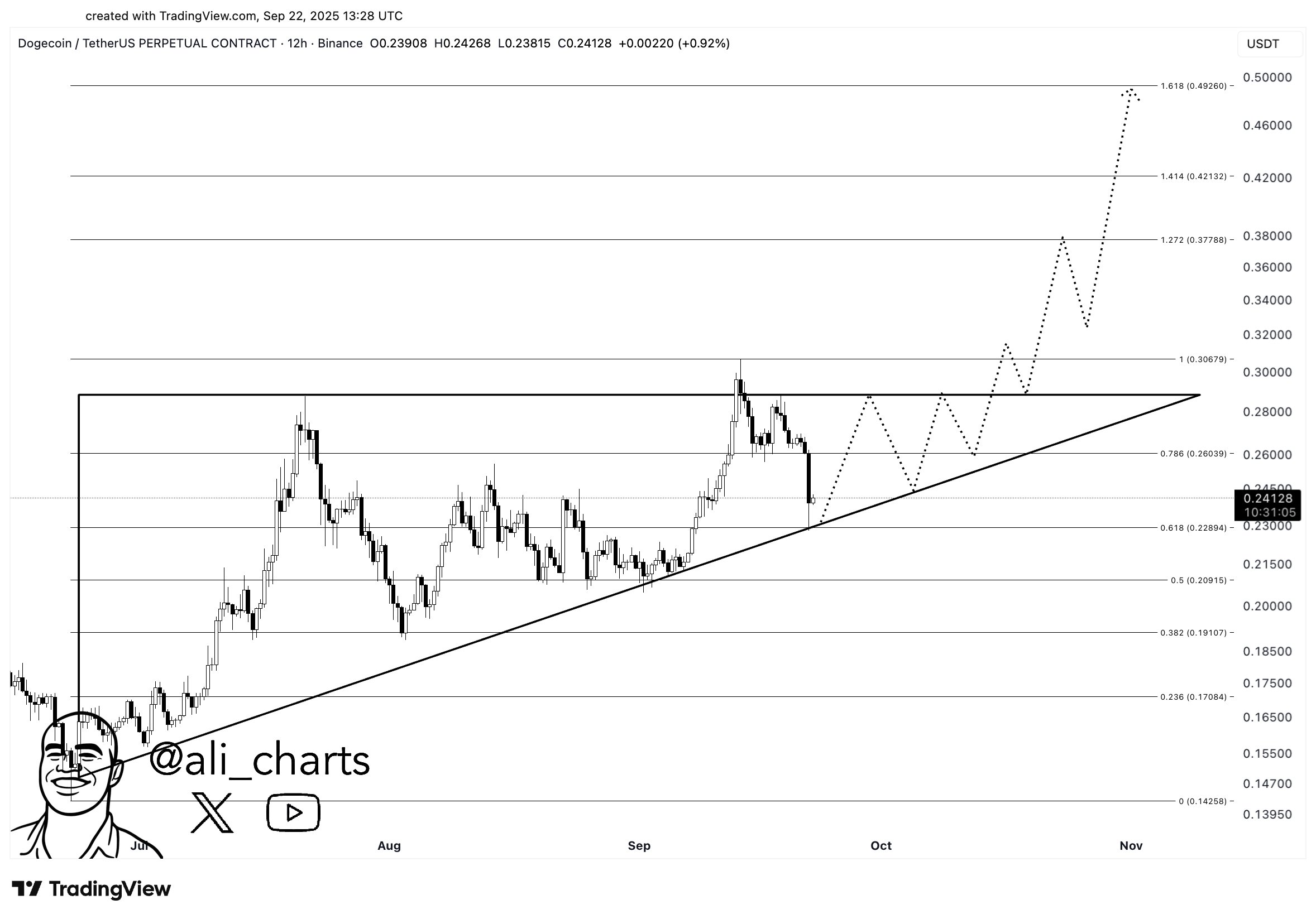 Dogecoin (DOGE) Fiyatı 0,24 Dolarda: Yükseliş İçin Son Şans mı?