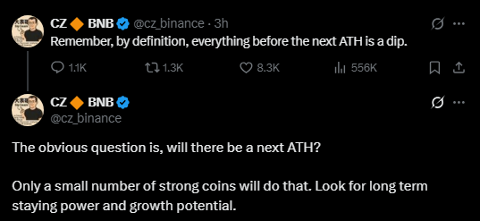 Eski Binance CEO’su Changpeng Zhao Bitcoin’deki Düşüşü Yorumladı