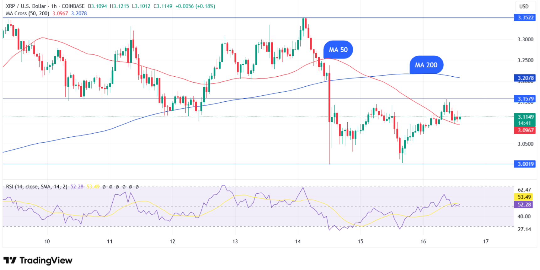 Korkulan Oldu: XRP İçin Çöküş Uyarısı Veren Sinyal Geldi