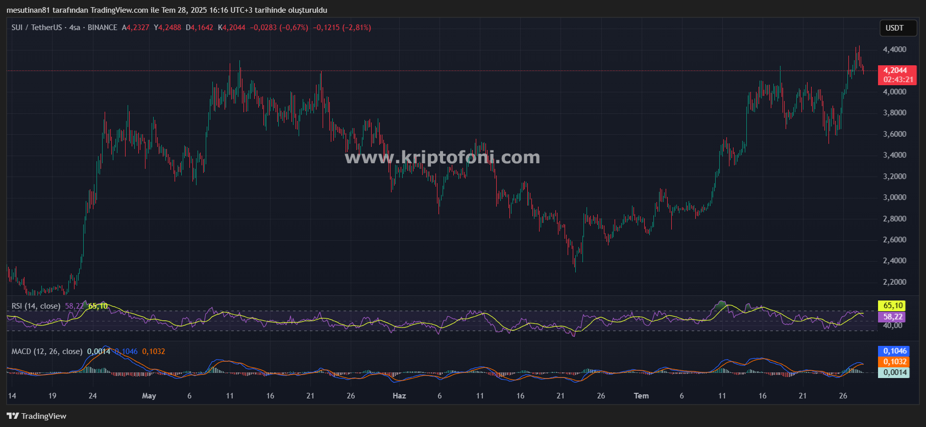 Piyasada Yeni Deprem: Dev Finans Şirketinin Tercihi Bu Altcoin