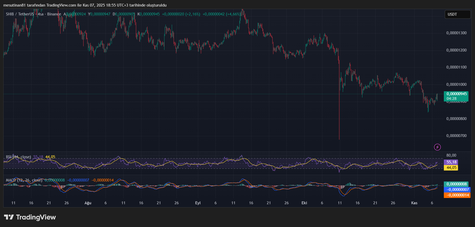 Shiba Inu İçin Sıfır Silme Beklentisi Yeniden Güçlendi