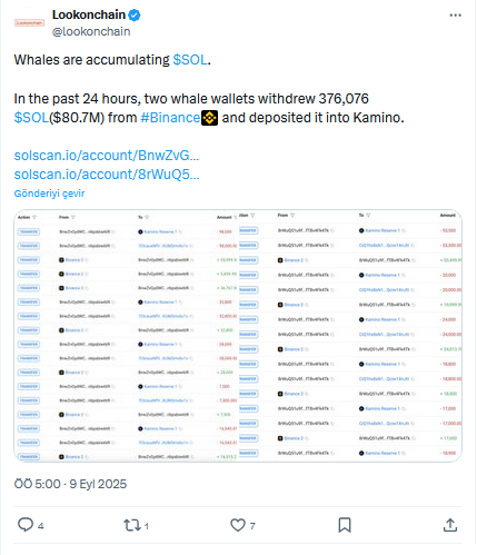 Solana (SOL) Balinaları 80 Milyon Dolarlık Dev Hareketle Kamino'ya Akın Etti