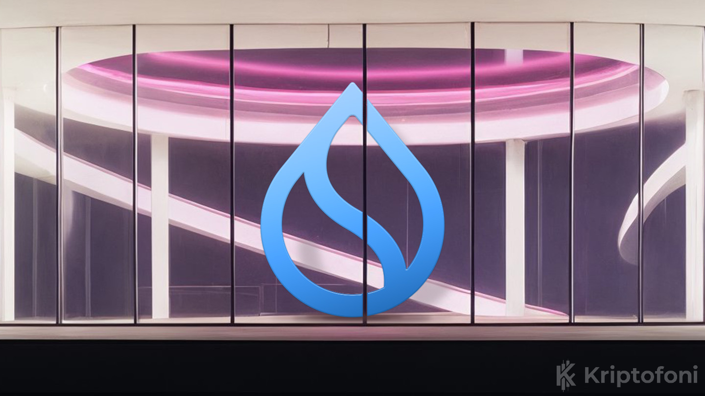 SUI Group, Altcoin Hazinesini 300 Milyon Dolara Çıkardı