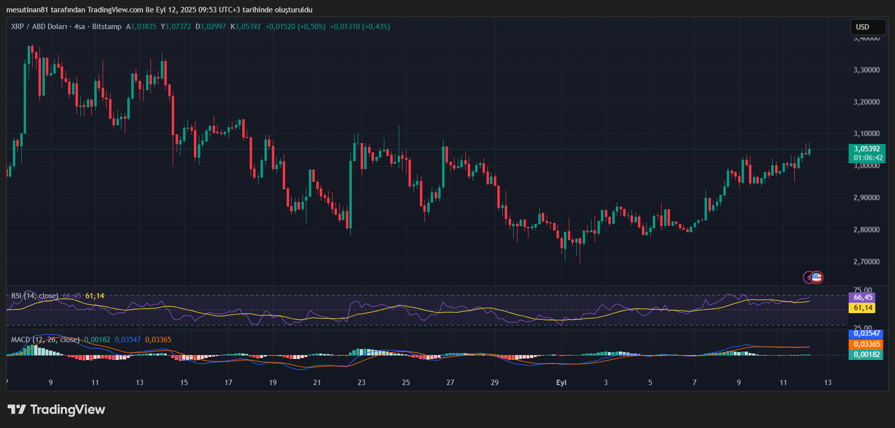 Ünlü YouTuber Konuştu: XRP Yatırımcısı İçin Son Fırsat