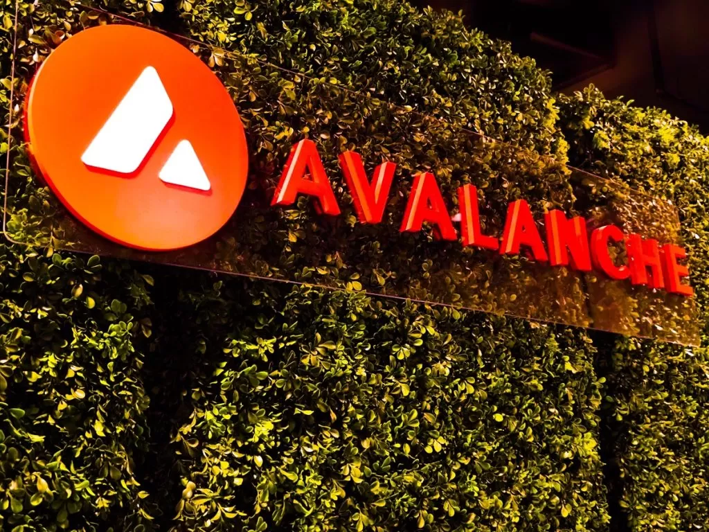Wyoming, Avalanche Ağıyla Devlet Ödemelerinde Blockchain Devrimini Başlattı