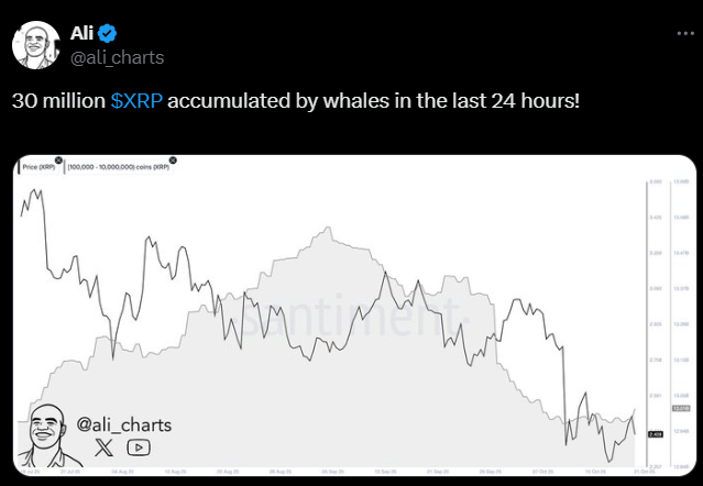 Yükselişini Henüz Gerçekleştirmedi Diyen Analist XRP Rallisinin Zamanını Açıkladı